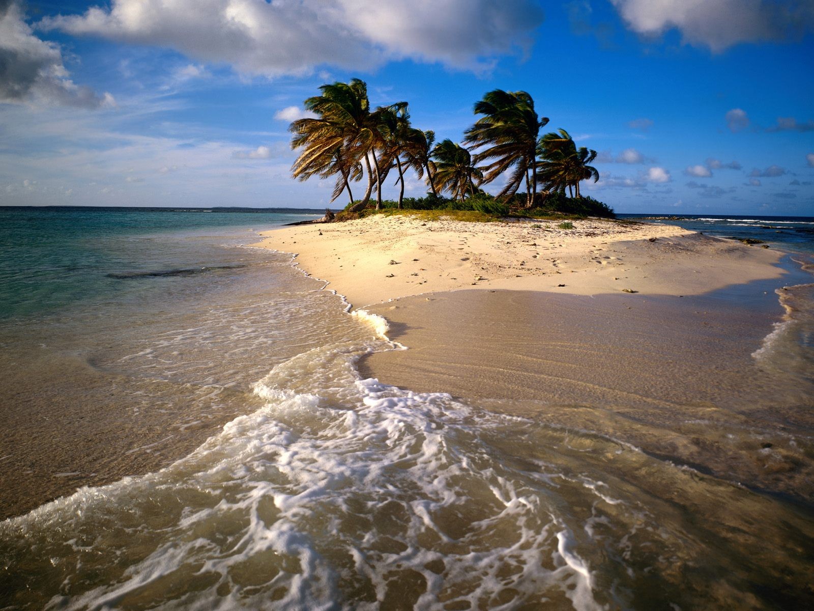 île océan nature