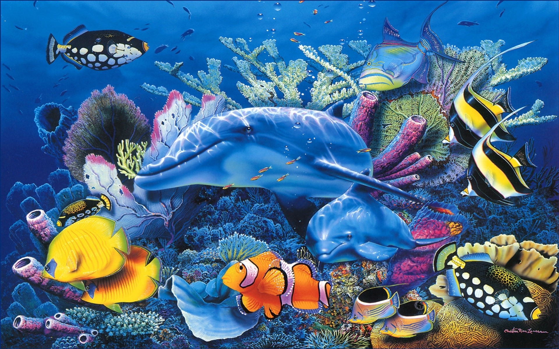 aquarium meer rise delphin schön blau