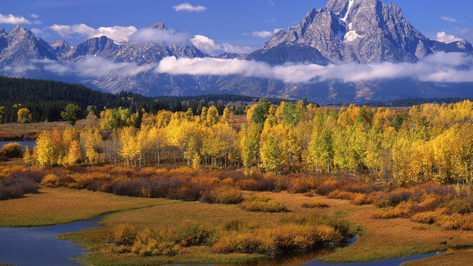 wyoming mountain autumn