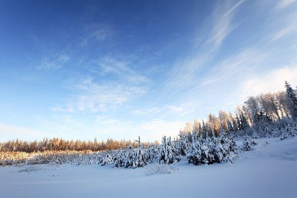 Paysage d hiver sous un ciel clair