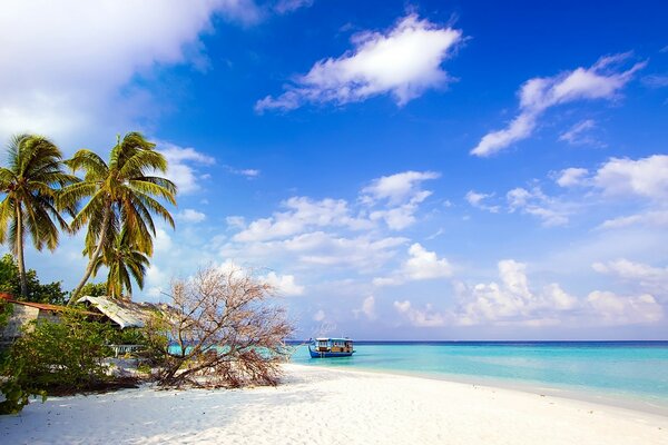 A hut on the beach near the ocean