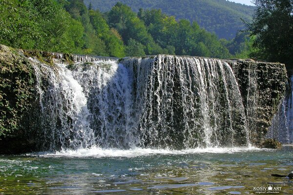 Cascade. forêt. lac. paysage