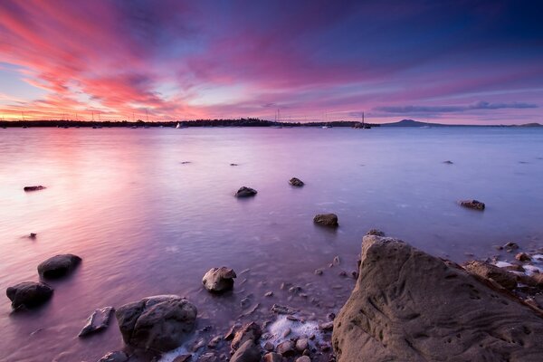 Bay at sunset in lilac color in New Zealand