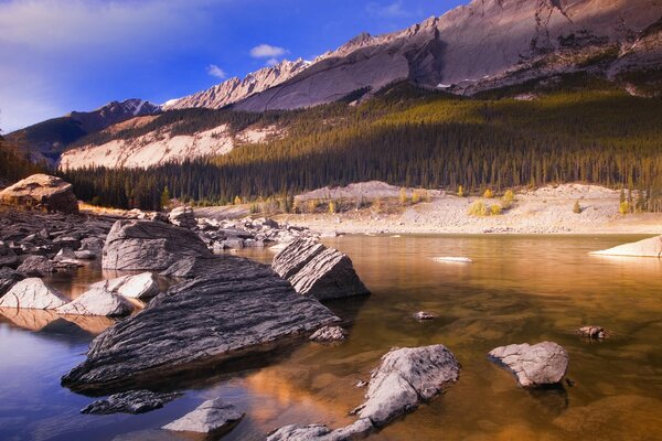 Montagnes canadiennes avec la végétation et les plans d eau au premier plan