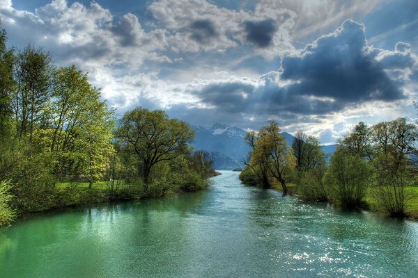 Flusslandschaft und grüne Bäume