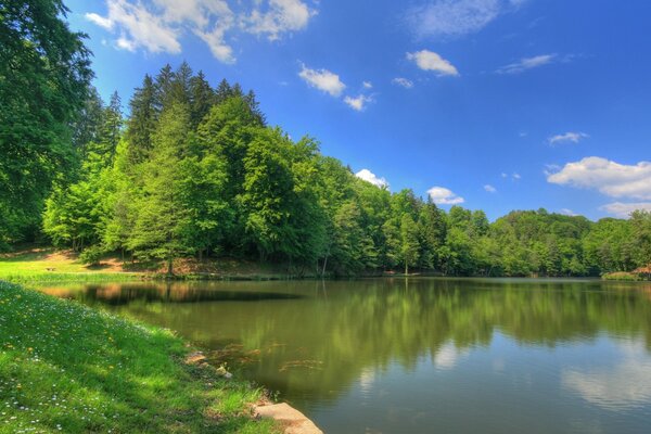 Krajobraz letniej przyrody nad rzeką