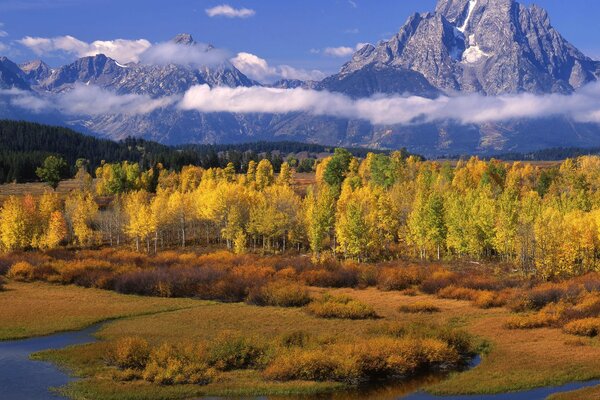 Autumn nature with trees and mountains