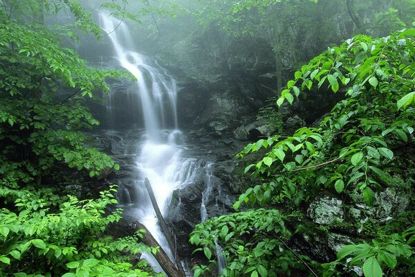 Bella cascata in un angolo panoramico della natura