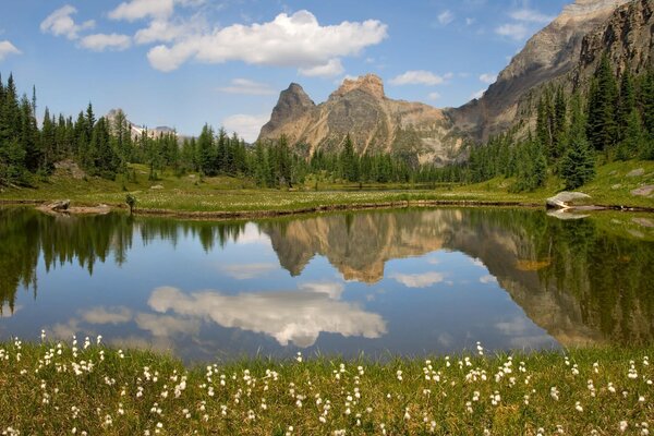 Lac dans la vallée de la montagne. paysage