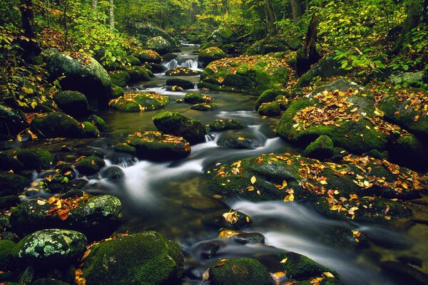 A trickle of water flowing over rocks