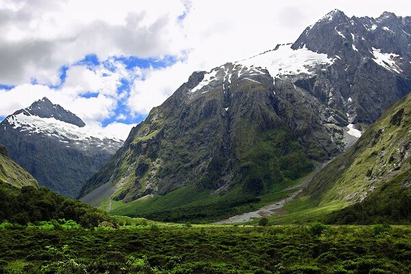 Schneebedeckte Berge und grünes Gras