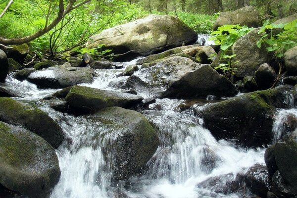 Cascada entre piedras en la naturaleza