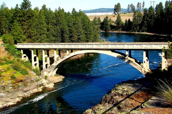 Puente sobre el río en el bosque