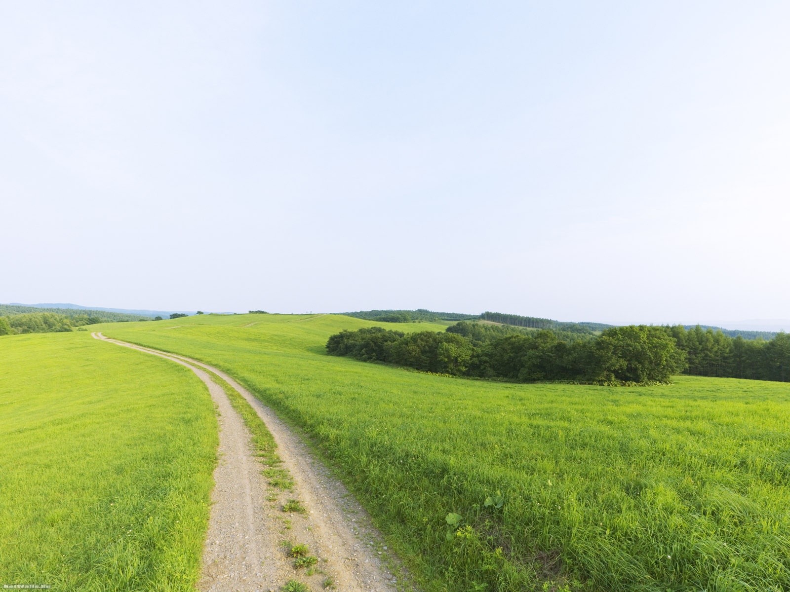 route beauté distance horizon verdure