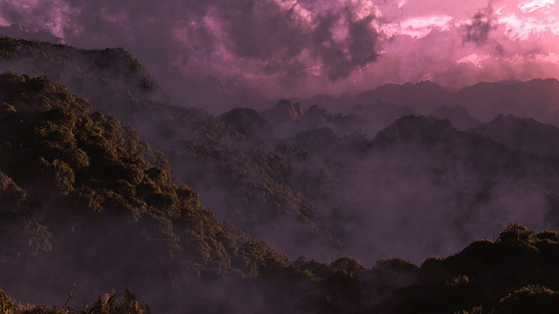 bosque amanecer nubes bosque tropical nieblas