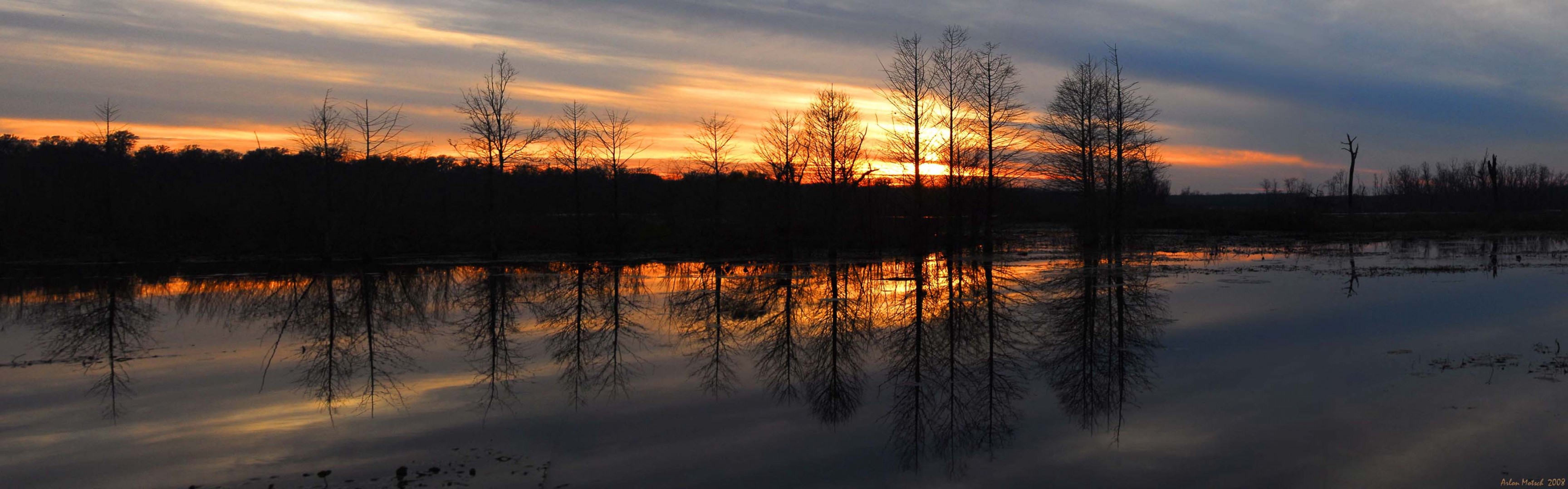 puesta de sol río bosque