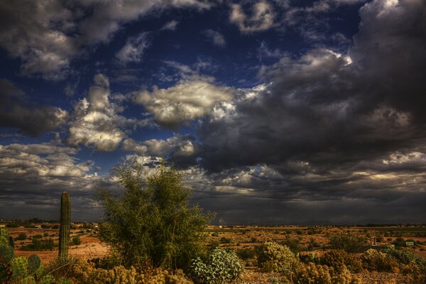 Tormenta inminente en el desierto con cactus