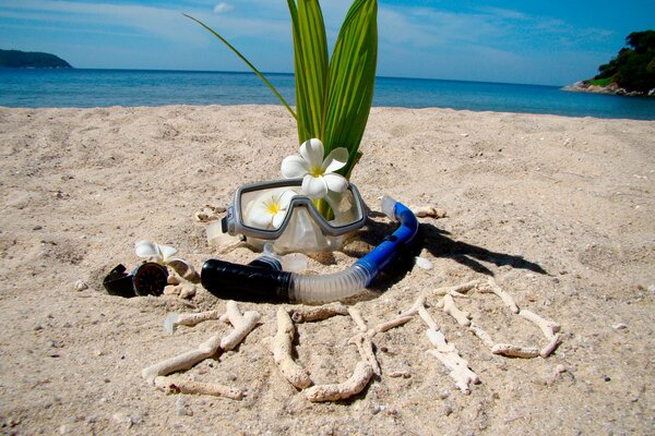 Beach mask tube coral