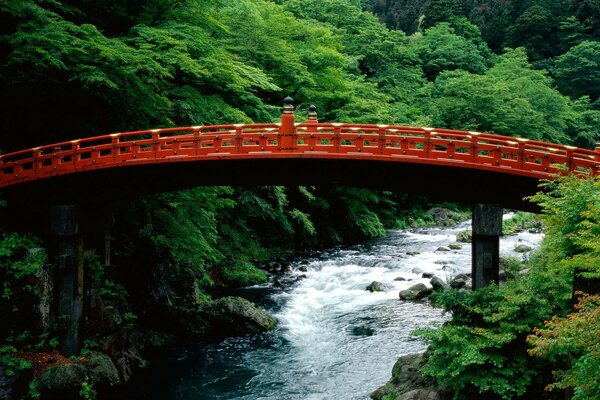 Japanische Brücke über den Fluss