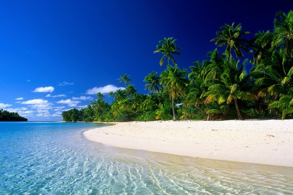 Mare e Spiaggia di sabbia con palme