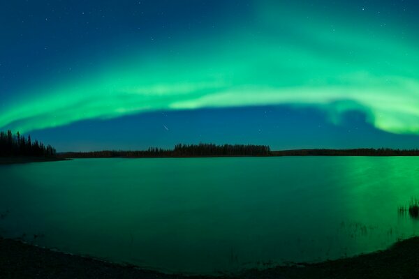 Aurora boreale verde brillante sopra un lago nella foresta