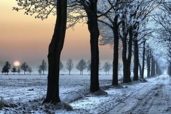 Schneespuren auf der Winterstraße