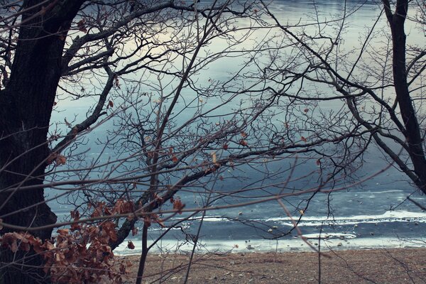 Mar en el sombrío clima de otoño