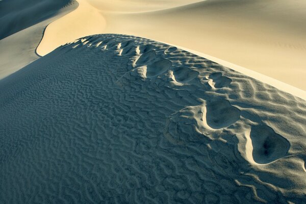 Paysage avec désert et traces sur le sable