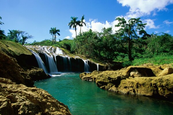 A small waterfall on the background of palm trees