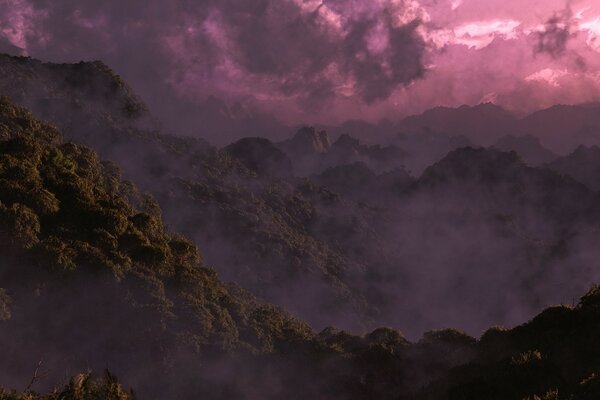 Туман окутал тропический лес
