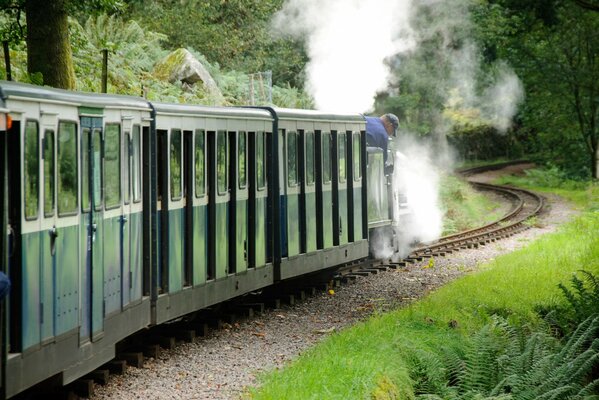 Train sur une route forestière en Écosse