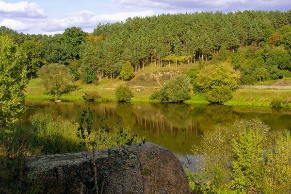 Wald Fluss im Sommer mit einem Stein am Ufer