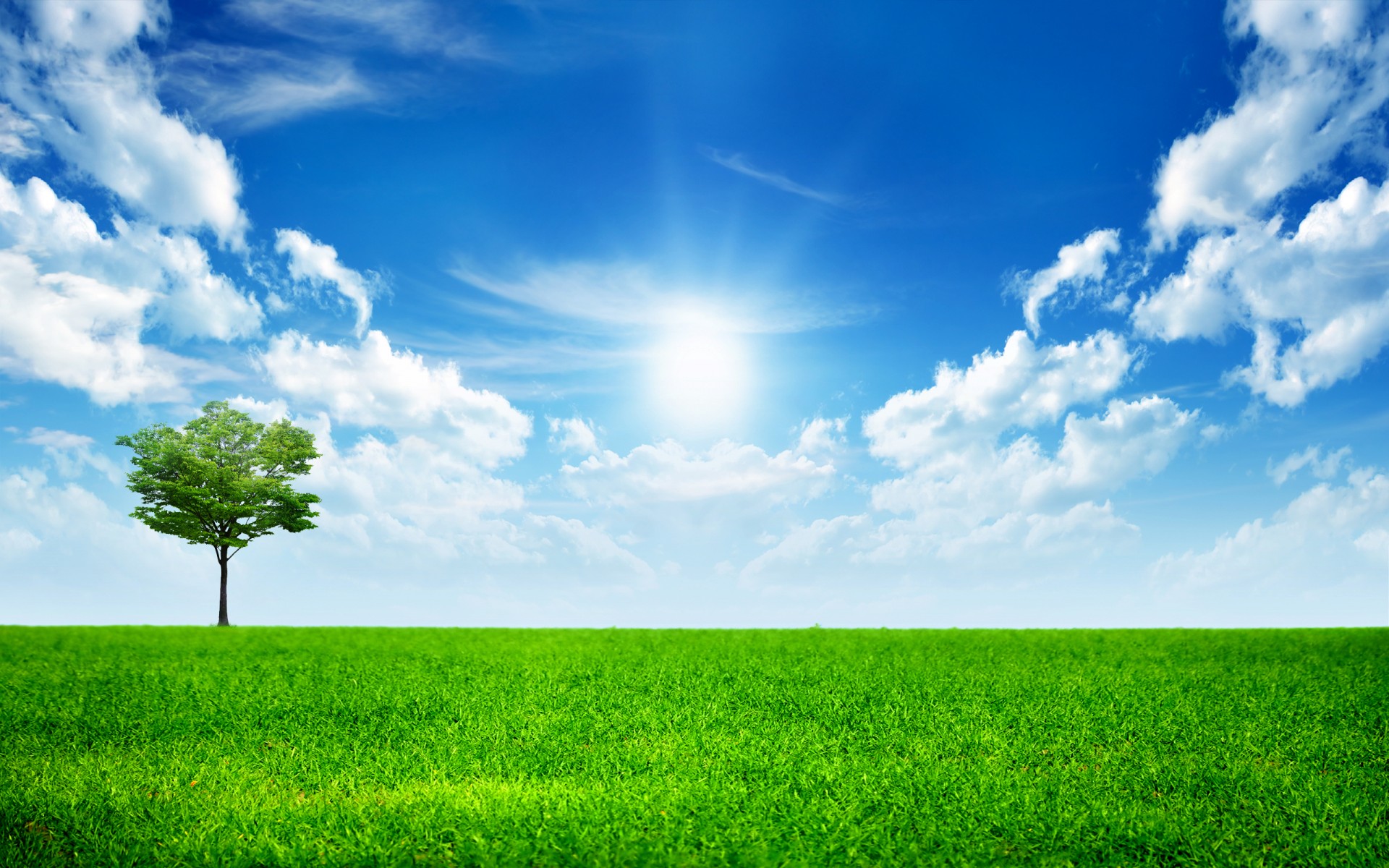 jeder ist einsam in dieser welt gras grün landschaft himmel sonne bäume wolken der