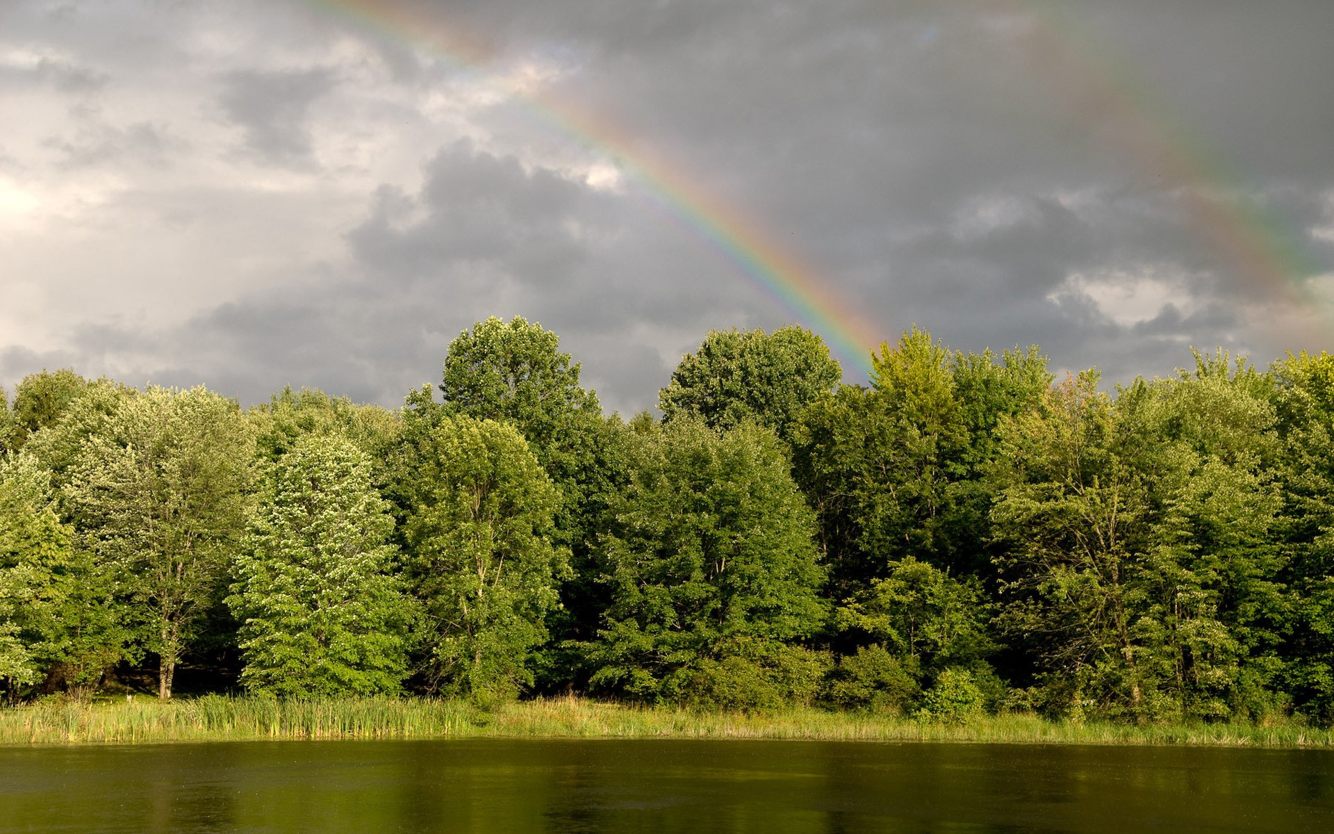 regenbogen wald fluss wasser grüns