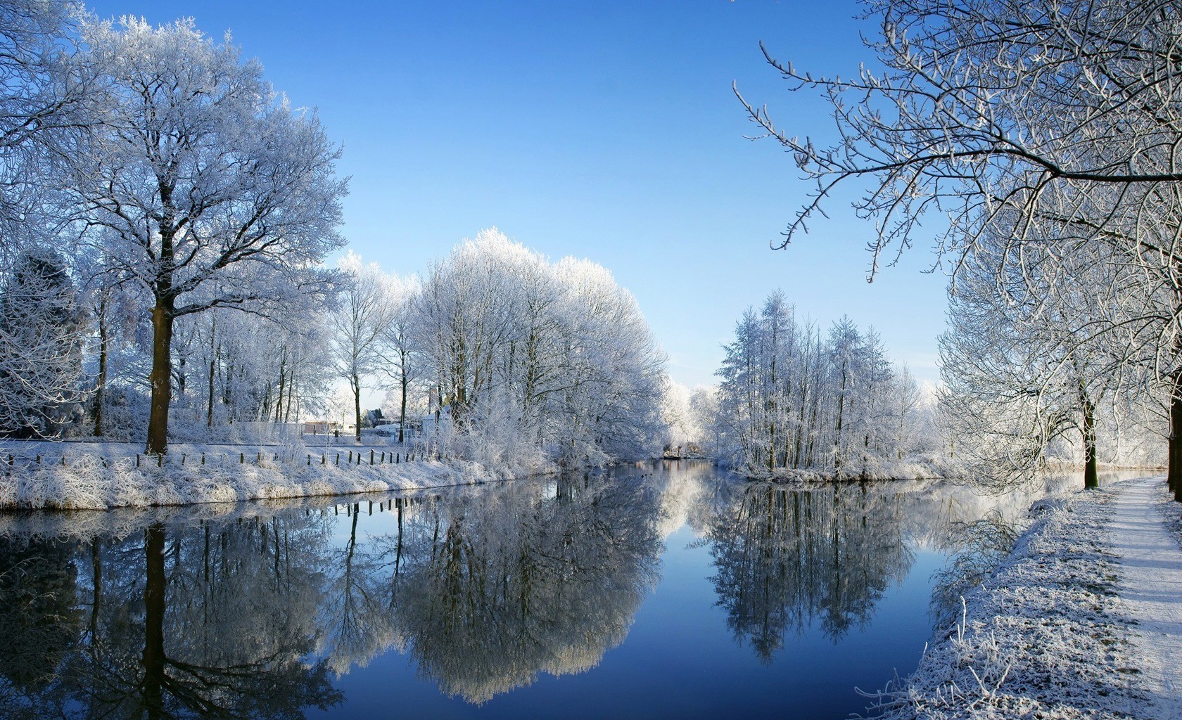 invierno río bosque