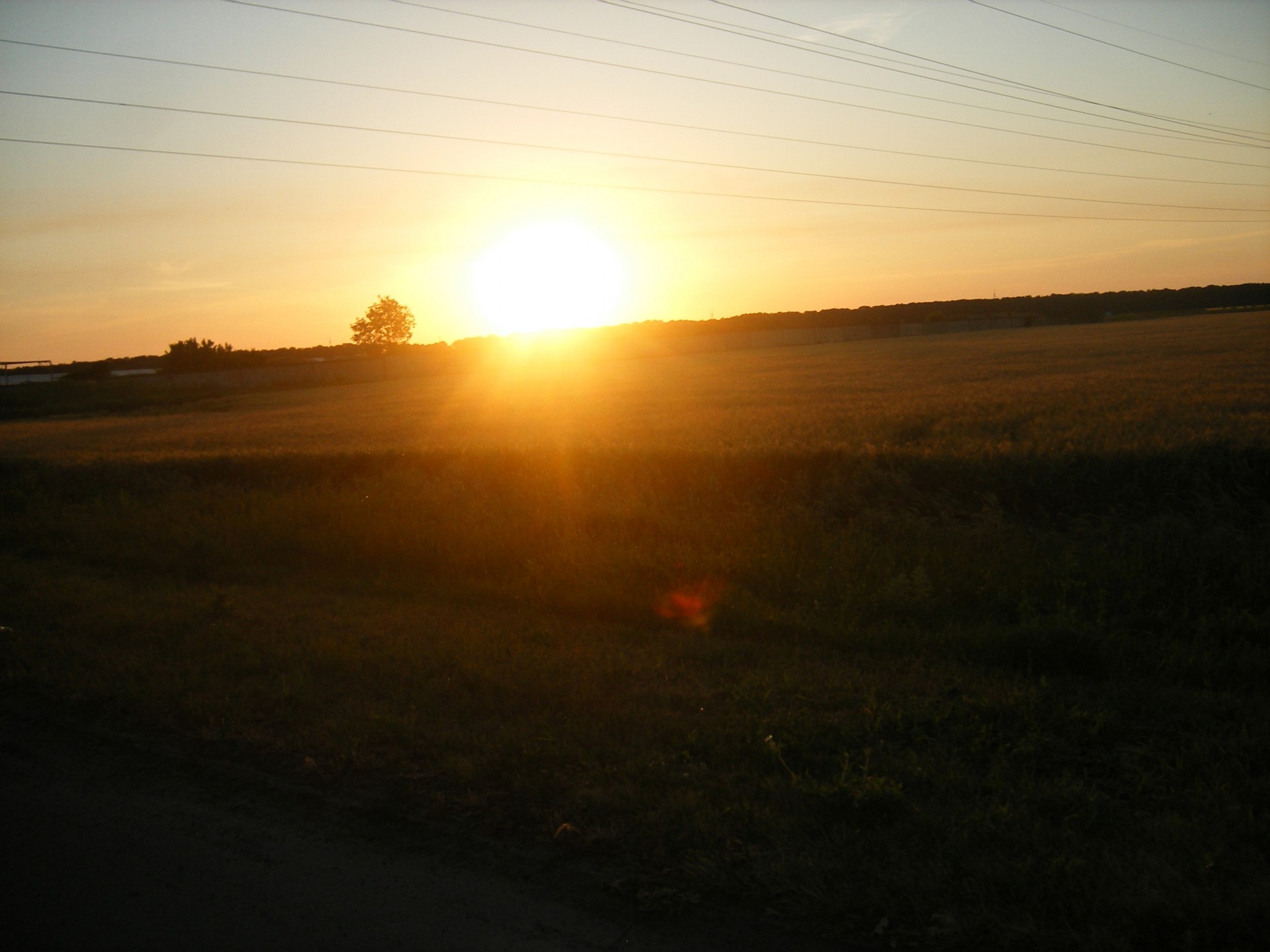 sole alba campo cielo fili