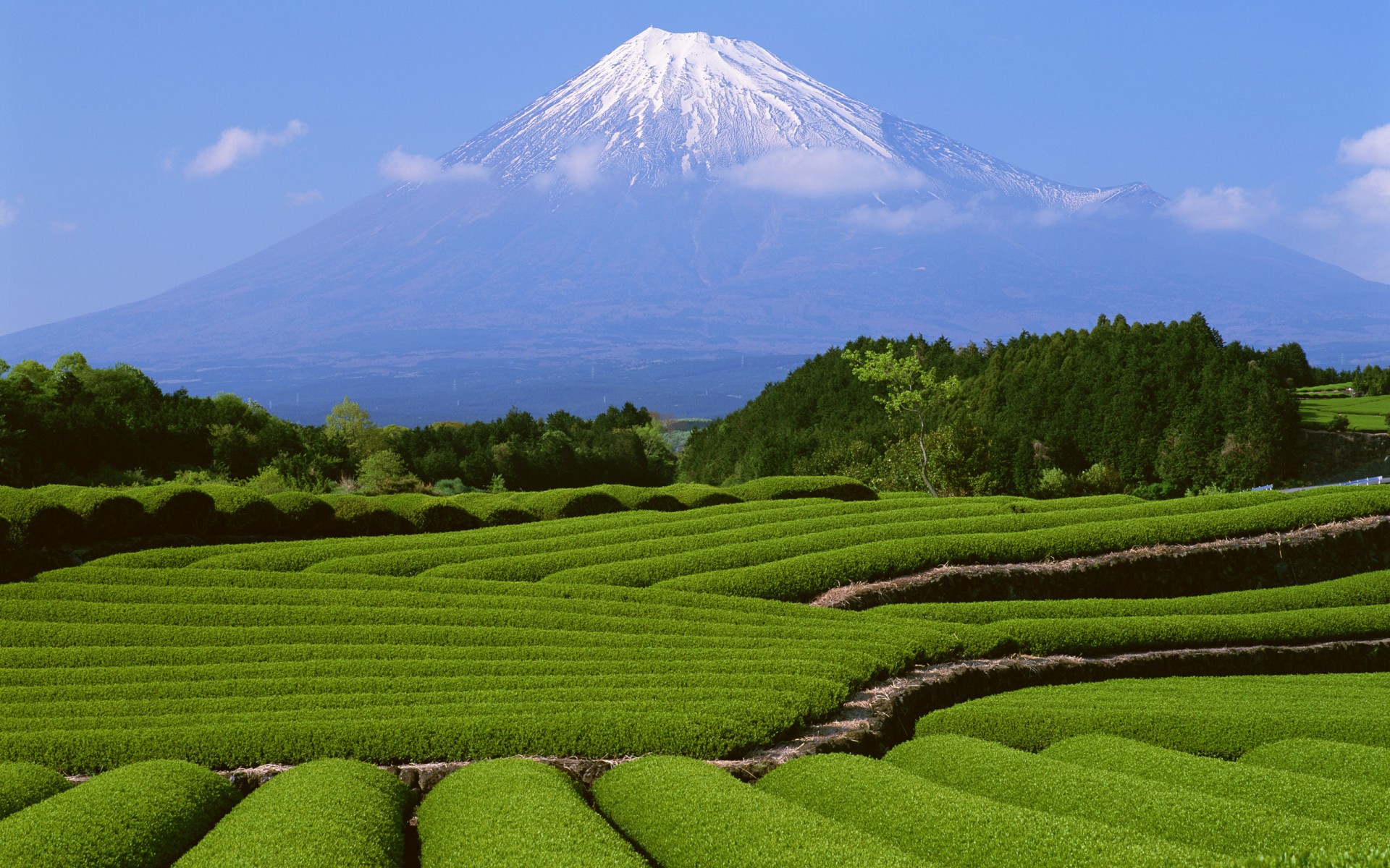 japonia góra fuji