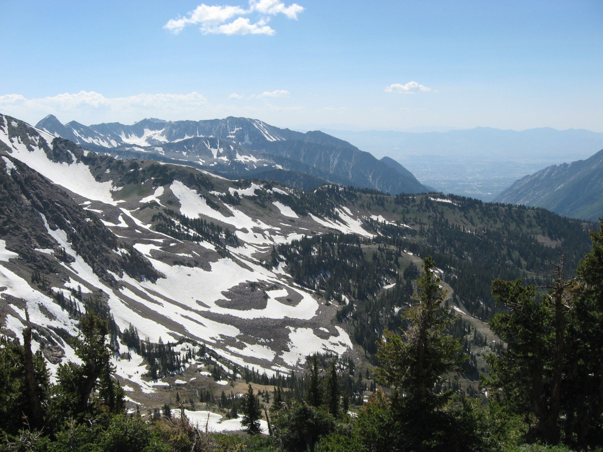 montagne neve foresta america