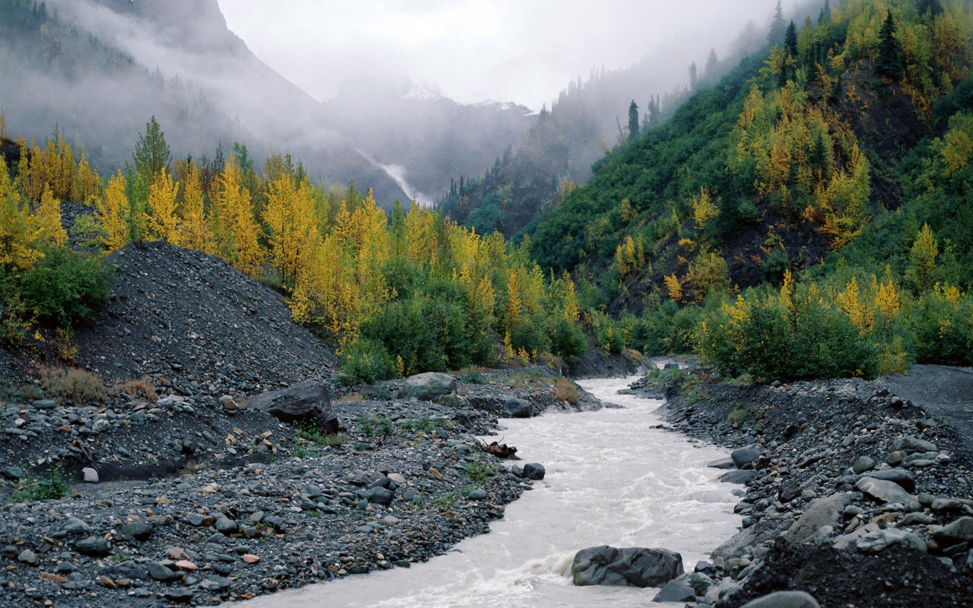 alaska rivière brouillard