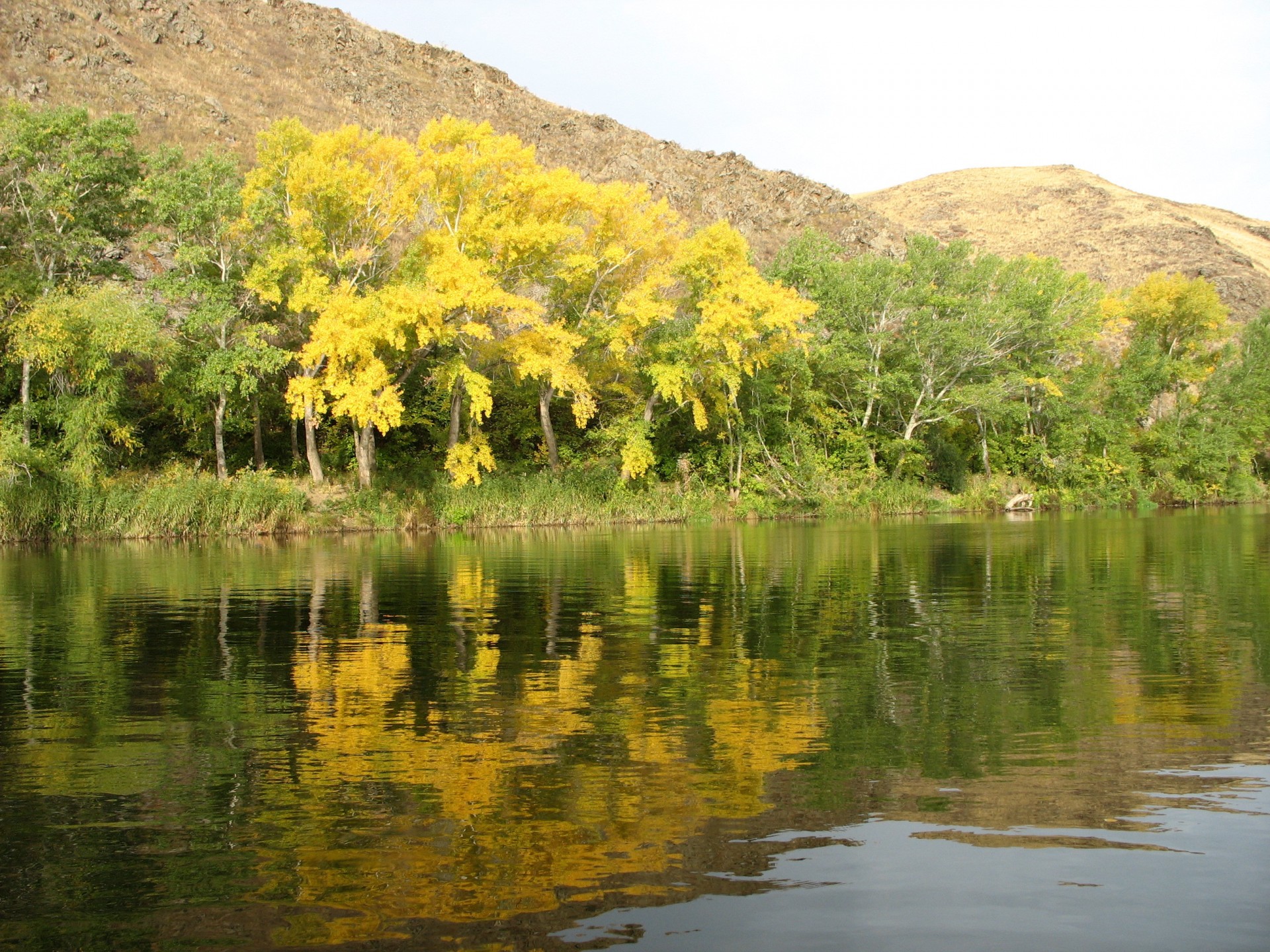 río montañas otoño árboles