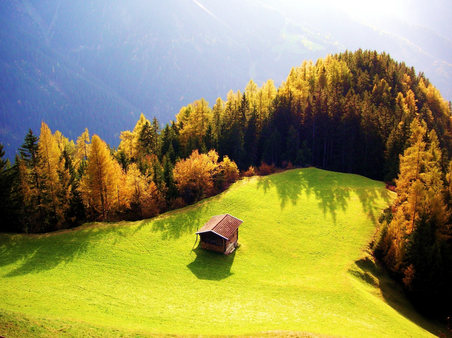 feld haus gras schönheit wald