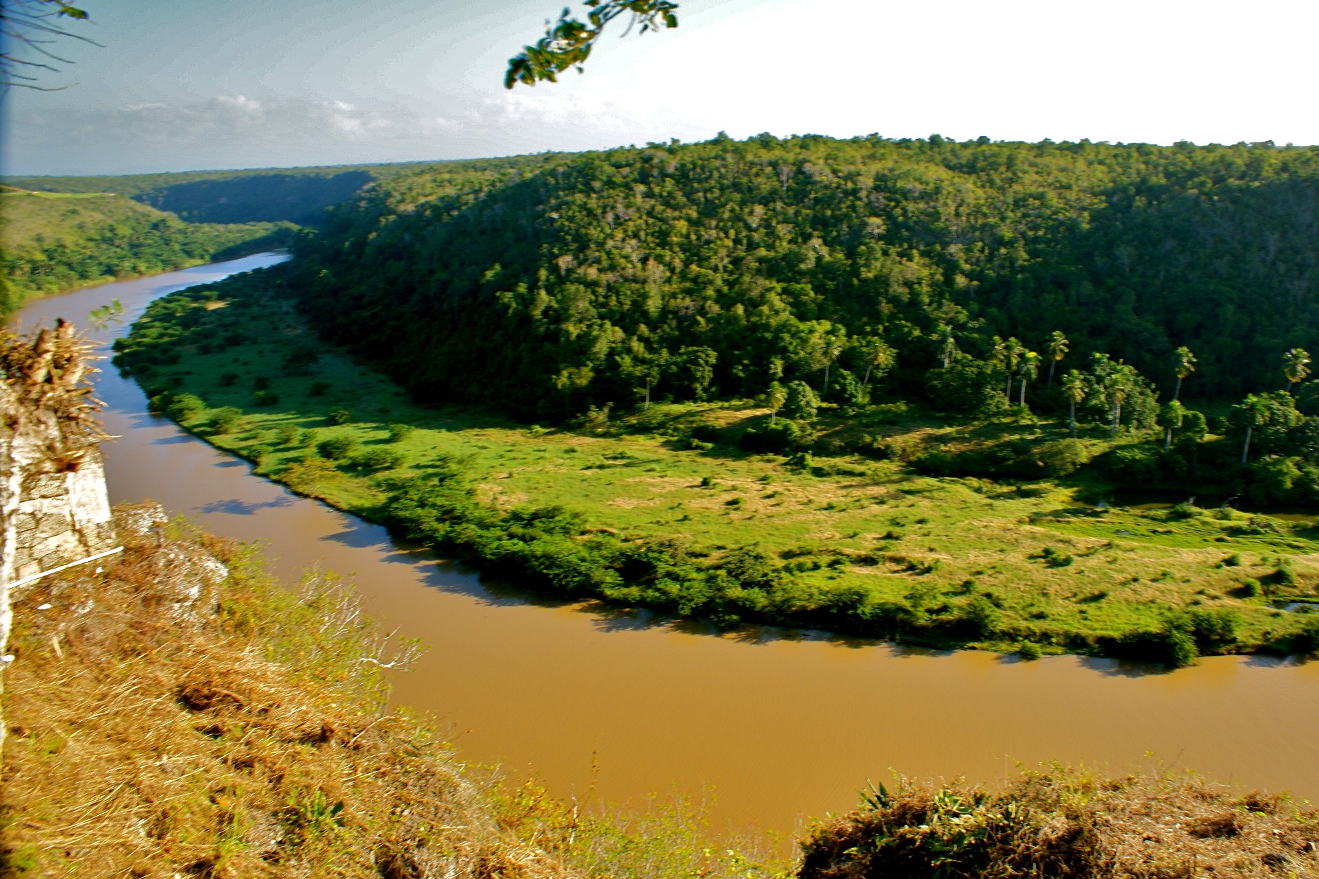 fiume acqua cielo giungla