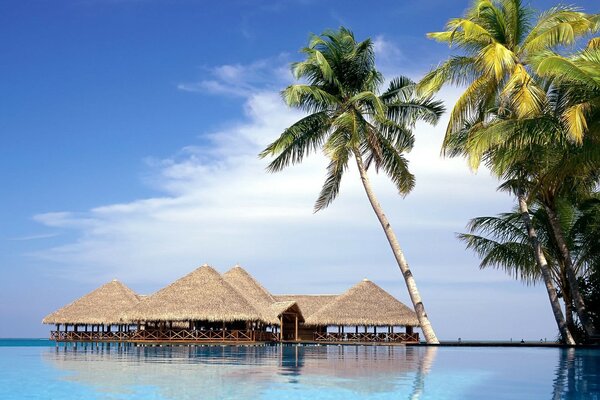 Paradise bungalow in the sea with palm trees