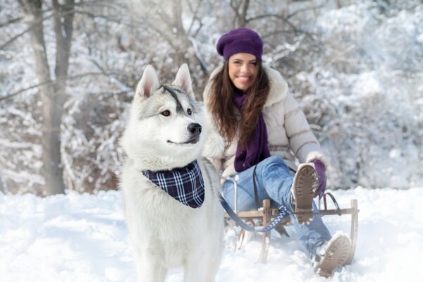 Ragazza con cane da slitta e slitta sulla neve