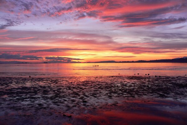 Pink sunset on the endless sea