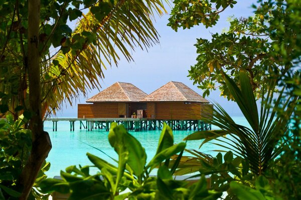 Azure Ocean and bungalows