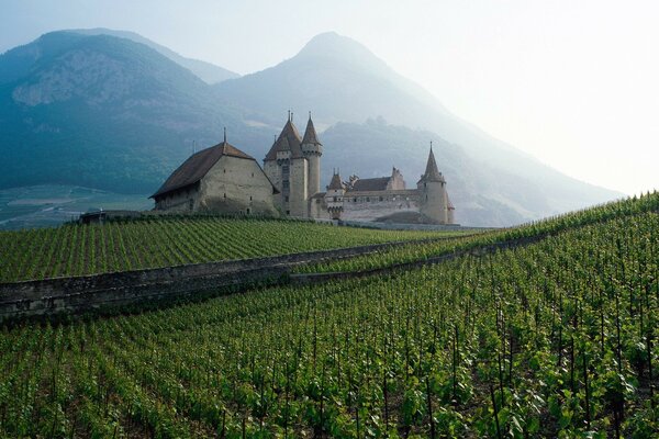 Au loin sur le Mont château sur le terrain