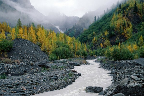 Fotos de la naturaleza en Alaska