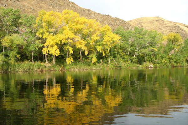 Mountains and autumn forest on the river bank