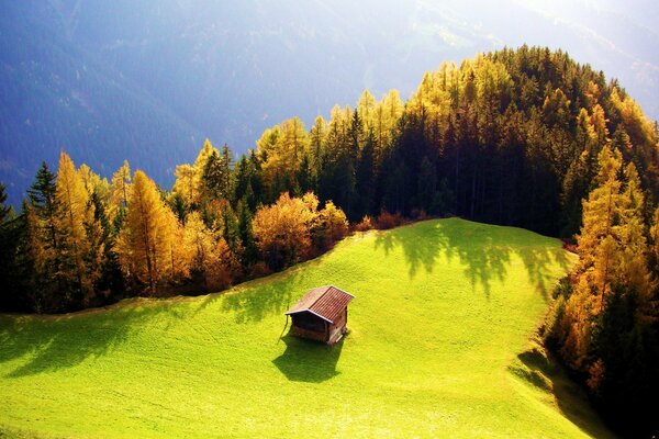 Ein einsames Haus in einem Feld am Wald